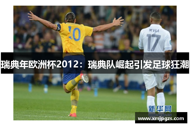 瑞典年欧洲杯2012：瑞典队崛起引发足球狂潮